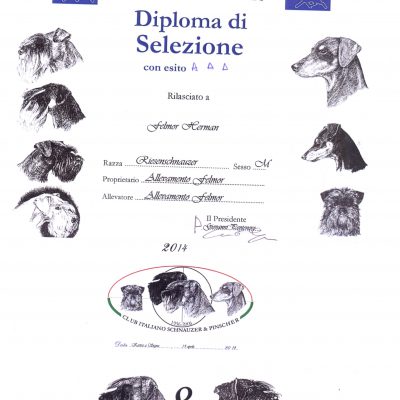 Diploma selezione Hermann